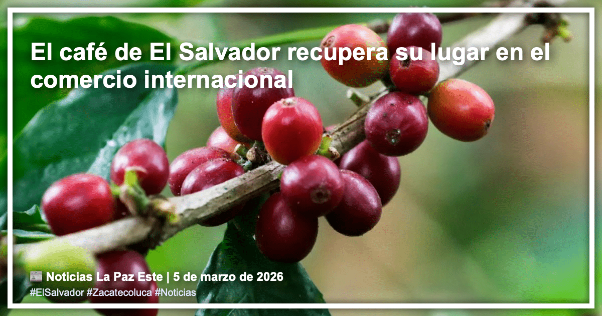 noticia 1772831965242