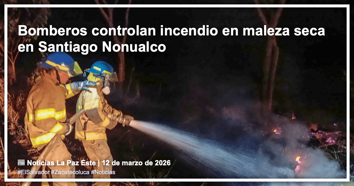 noticia 1773331987201